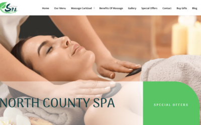 North County Spa SEO Case Study
